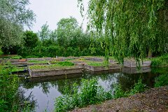 _DSC3300-3600x2400